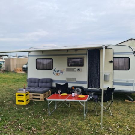 Louise'S Camper Ξενοδοχείο Neusiedl an der Zaya Εξωτερικό φωτογραφία