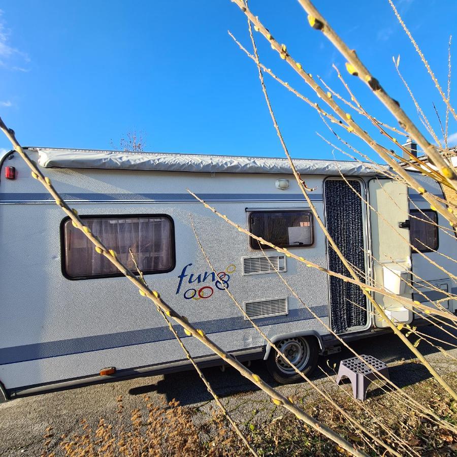 Louise'S Camper Ξενοδοχείο Neusiedl an der Zaya Εξωτερικό φωτογραφία